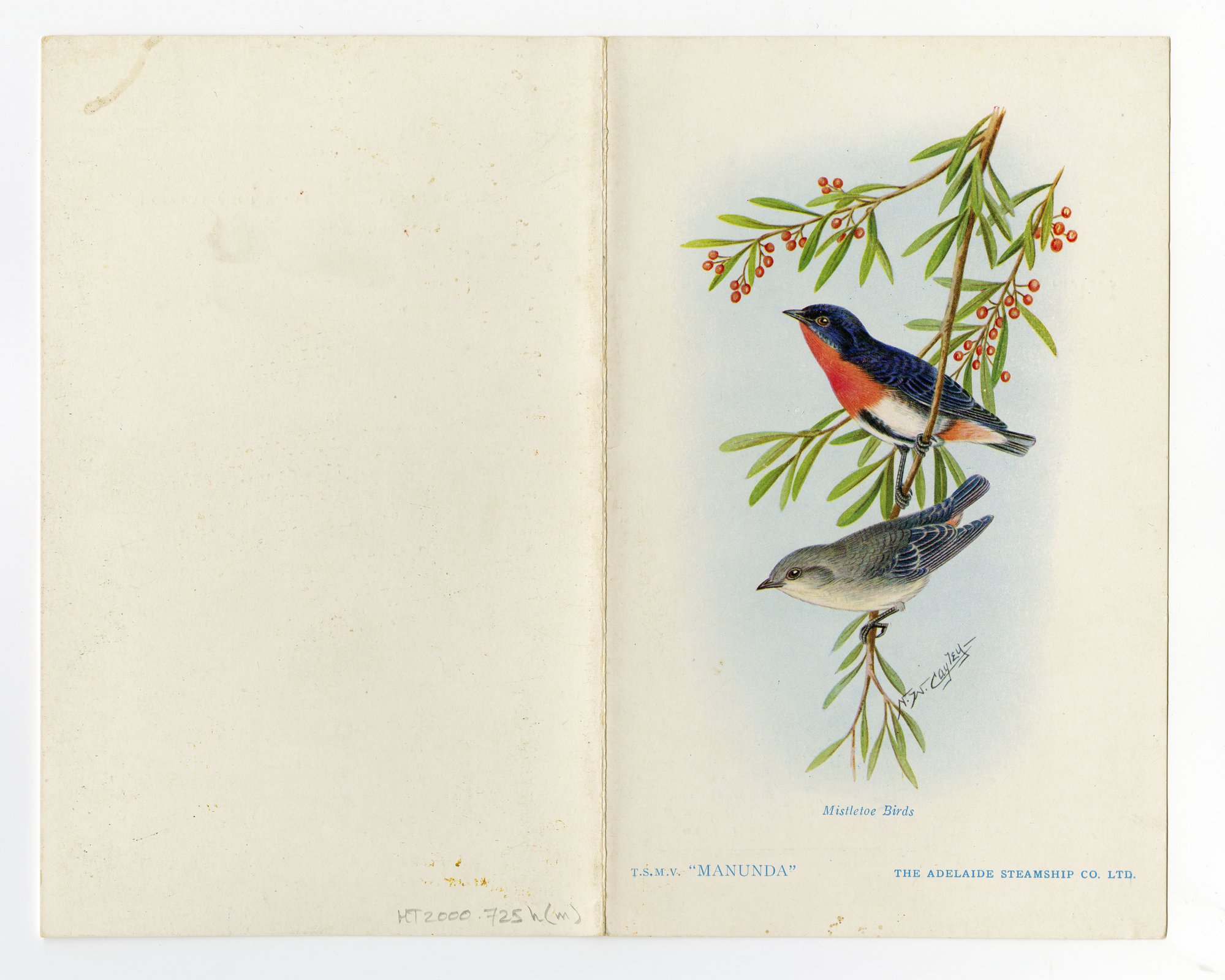 MV MANUNDA menu 1st Jan 1956