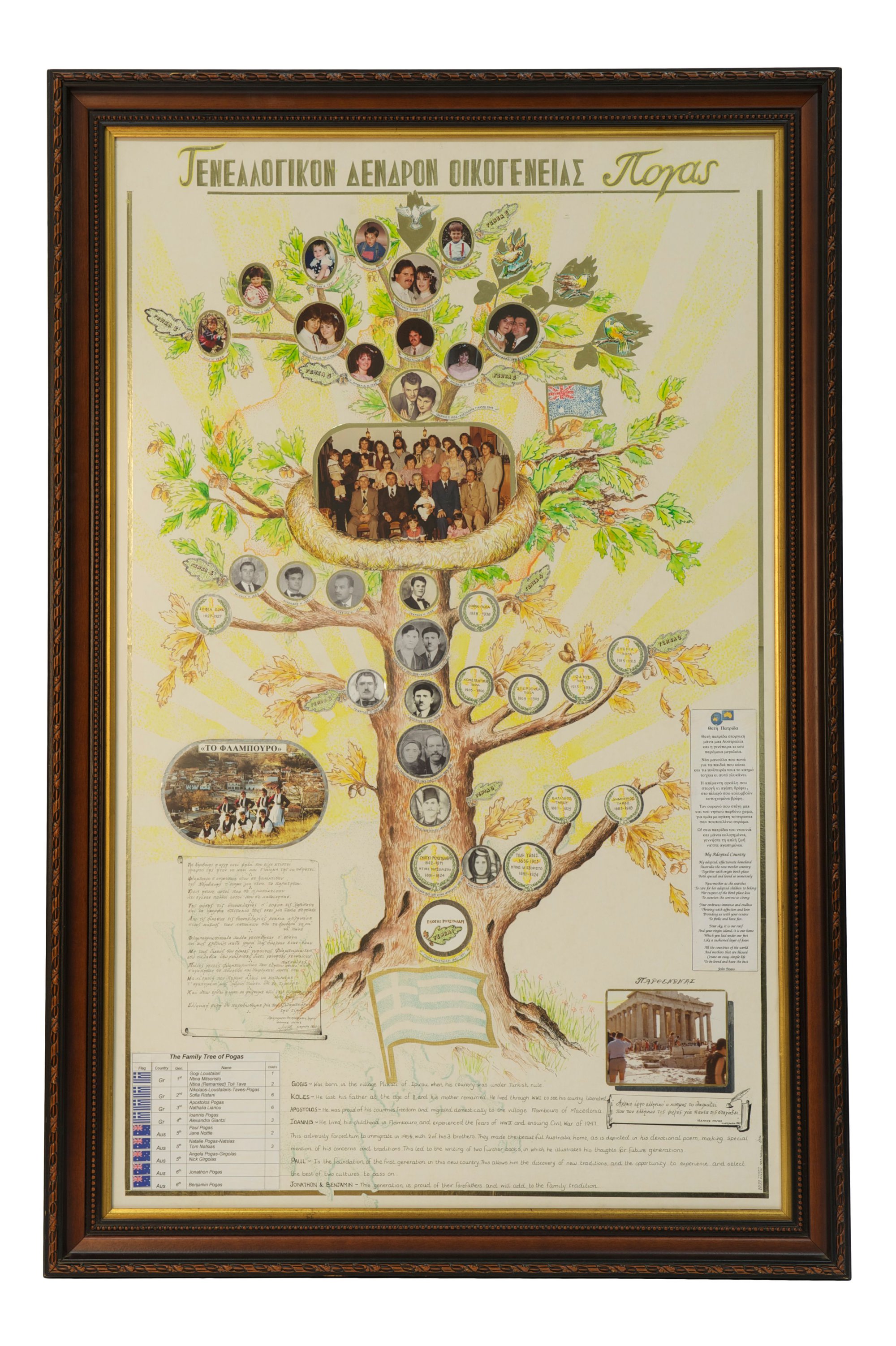 Family tree, framed
