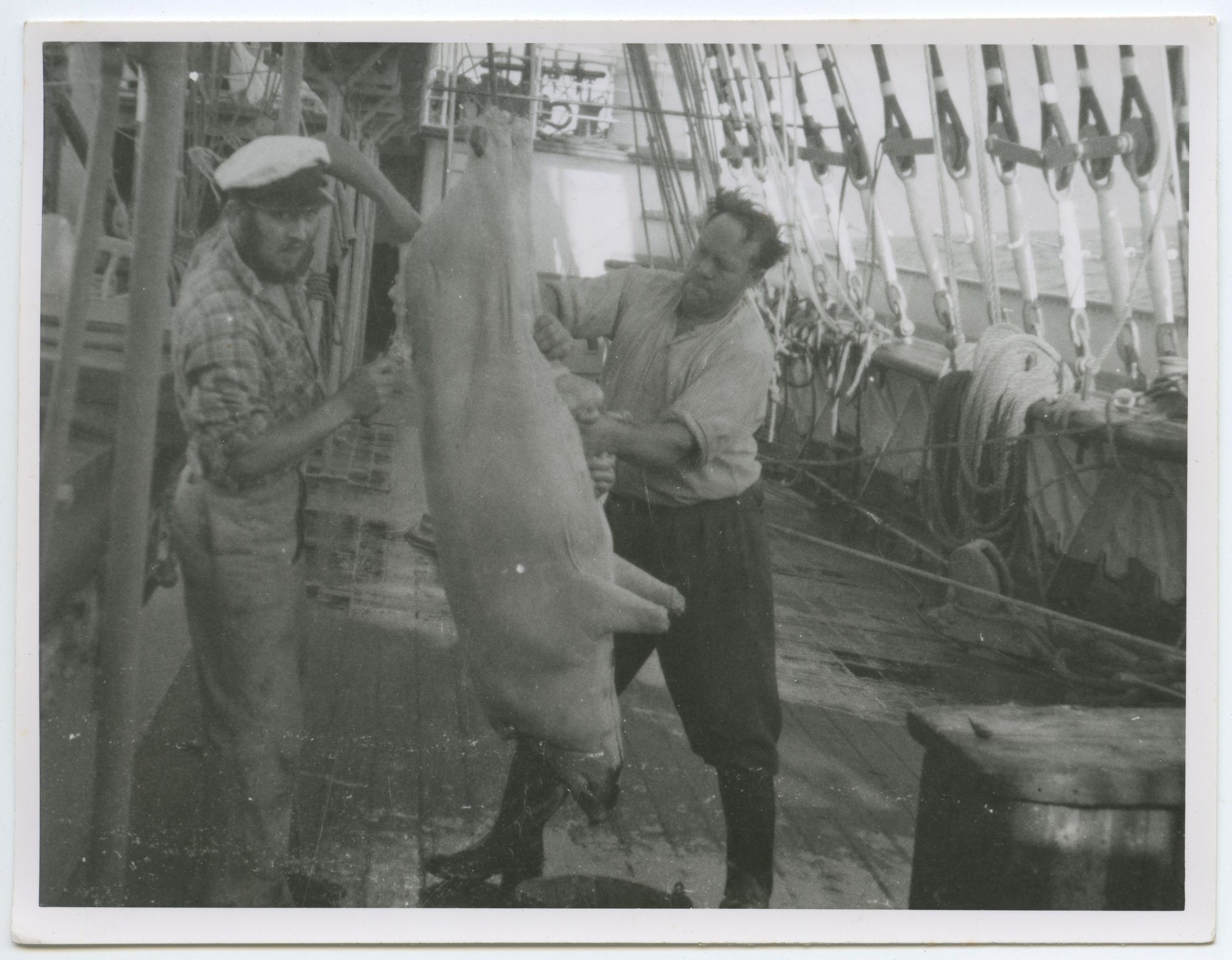 Passat crew, Chief Cook and Steward