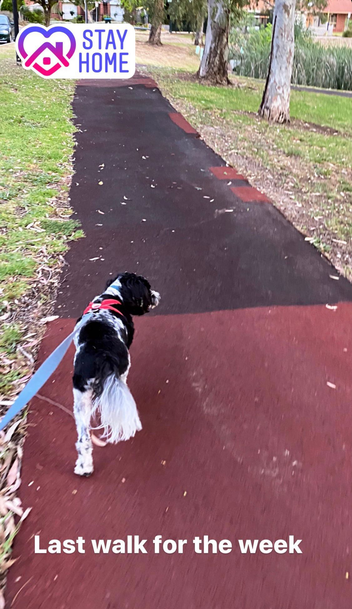 Last walk before the circuit-breaker