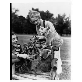 Two women and two koalas