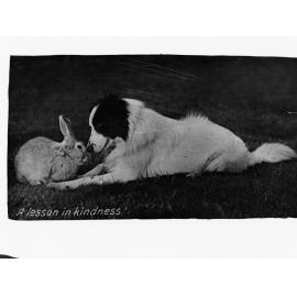 Minda Home postcard: A Lesson In Kindness 