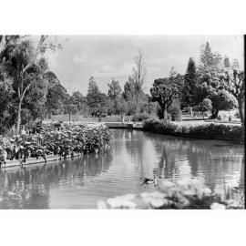 Botanic Gardens 