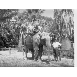 Elephant Ride at the Adelaide Zoo Children 