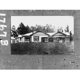 Housing and pine trees in background on farm