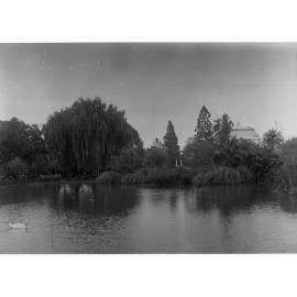 Pond in Botanic Gardens