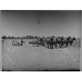 Horses Pulling Harvesting Machinery