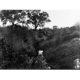 Torrens floodwater scheme