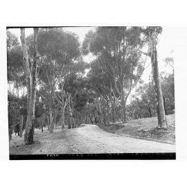 Belair National Park