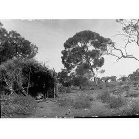 Bushman's Camp - Far North showing hut made from natural vegetation