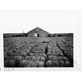 Bales of wool (Bales are marked Beltana)