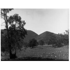 Flinders Ranges Windy Creek