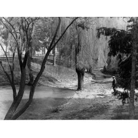 Botanic Park, showing man