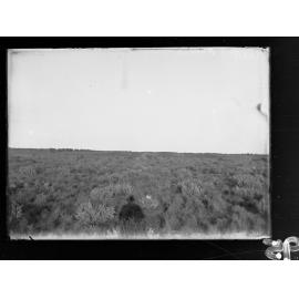 View of land and scrub along East-West Railway