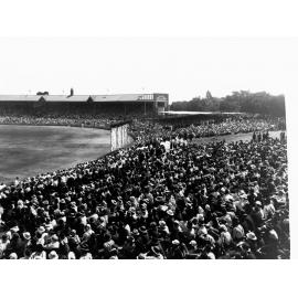 Cricket at Adelaide Oval