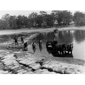Damming the River Murray during drought, Waikerie - Horses and cart in the water