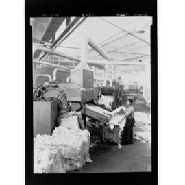 Davies Coop & Company 