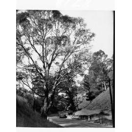 Mount Barker Road