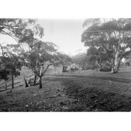 Road Construction in the Hills