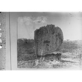 Meridional Ant Hill - Northern Territory