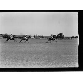 Polo Match 