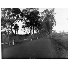 Road Near Birdwood