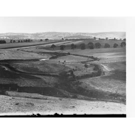 Reynella Showing Farms and Cows