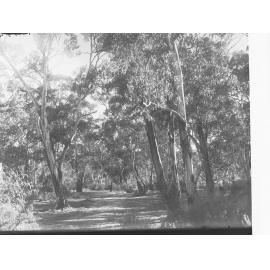 Mylor Reserve
