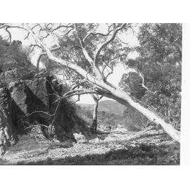 View of Flinders Ranges