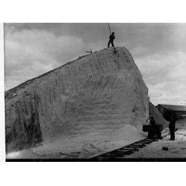 Lochiel Salt Lake