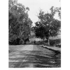 Man on road near Angaston
