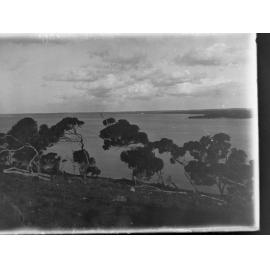 American River ,  Kangaroo Island, South Australia