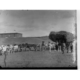Men With Hay Cart Harnessed to Donkeys