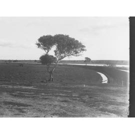 Murray River view