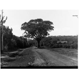 Dirt Road at Fullarton