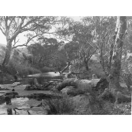 Noarlunga Showing Onkaparinga River