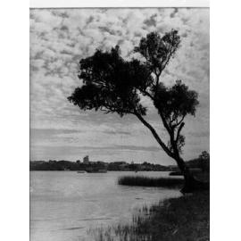 Murray Bridge Showing Paddlesteamer on River Murray