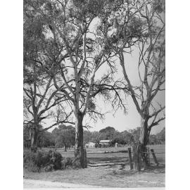 Farm at Fulham