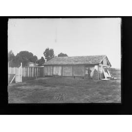 Poultry farm showing coops and shed at Roseworthy Agricultural College