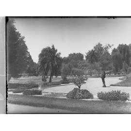 Man standing in Botanic Gardens