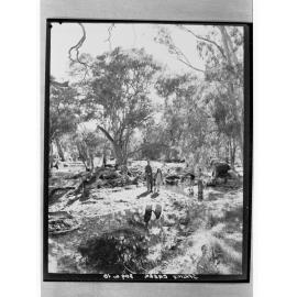 Spring Creek