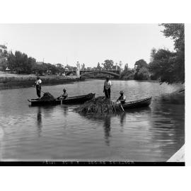 Men in Rowboats on the River Torrens 