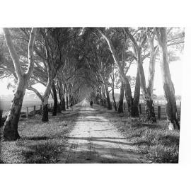 Pathway Showing Two Men Standing on Either Side
