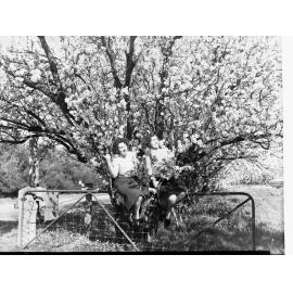 Almond Blossom Trees - Two Woman Holding Almond Blossom Branches