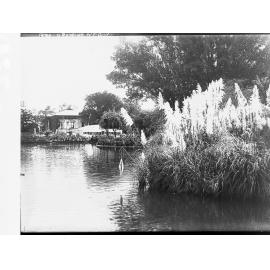 The Botanic Gardens, Adelaide