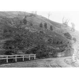 Torrens Gorge Road