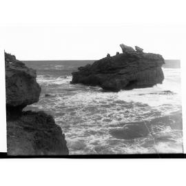 McDonnell Bay Seagull Island