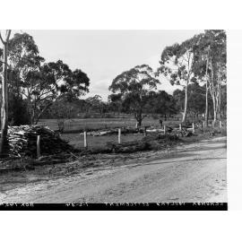 Echunga Poultry Settlement Showing Rural Scene