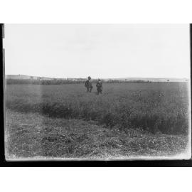 Men in a field