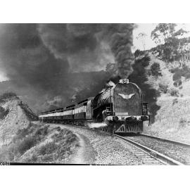 Centenary Train in Hills